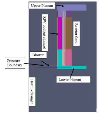 SAM model for the MHTGR primary loop