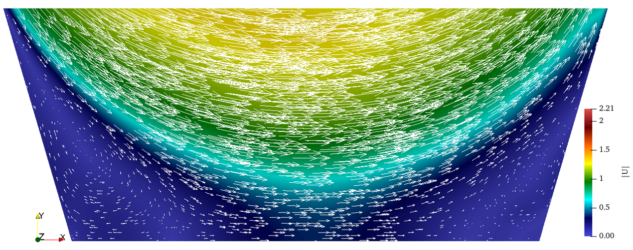Local velocity field close to core centerline with arrows indicating  velocity direction and magnitude.