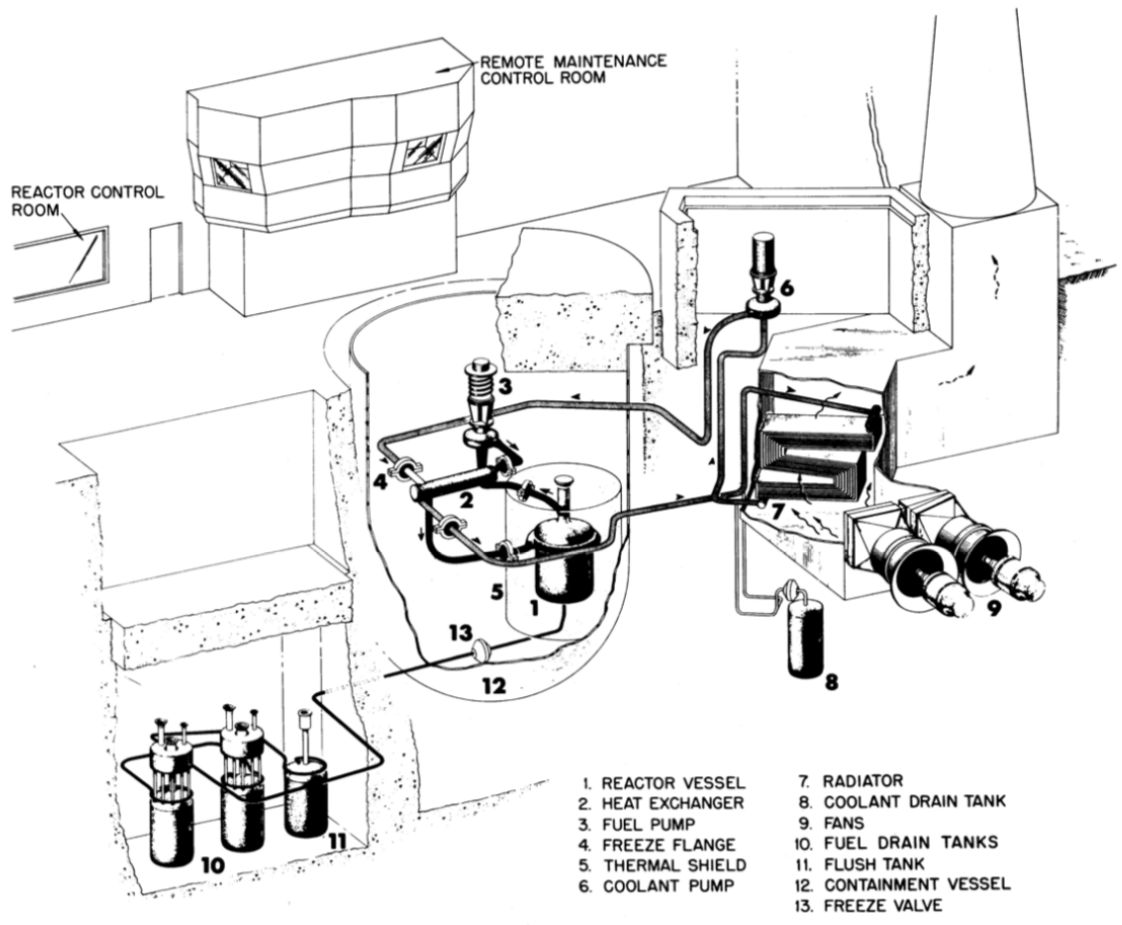 Schematic design of MSRE loops [!citep](osti_1617123).