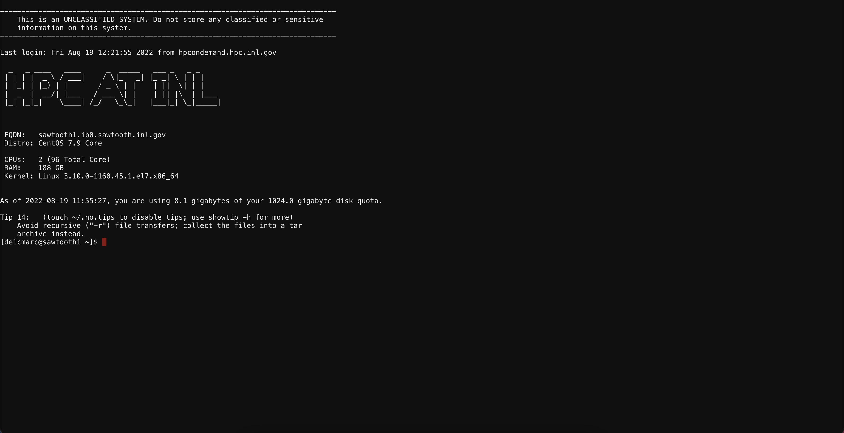 Sawtooth terminal on the INL HPC OnDemand website.