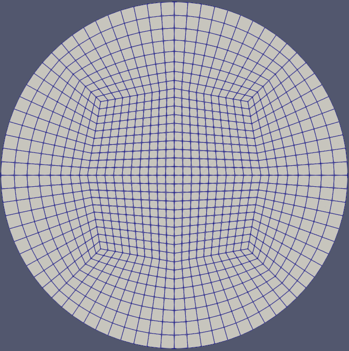 2D Mesh used for the Core Support Plate.
